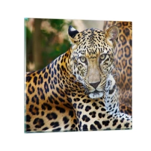 Cuadro sobre vidrio - Impresiones sobre Vidrio - Salvaje y tranquilo - 50x50 cm