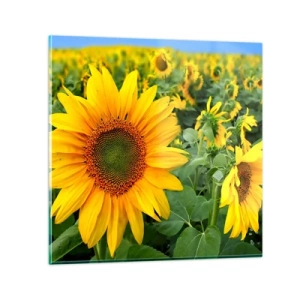 Cuadro sobre vidrio - Impresiones sobre Vidrio - Cientos de soles estallan - 60x60 cm