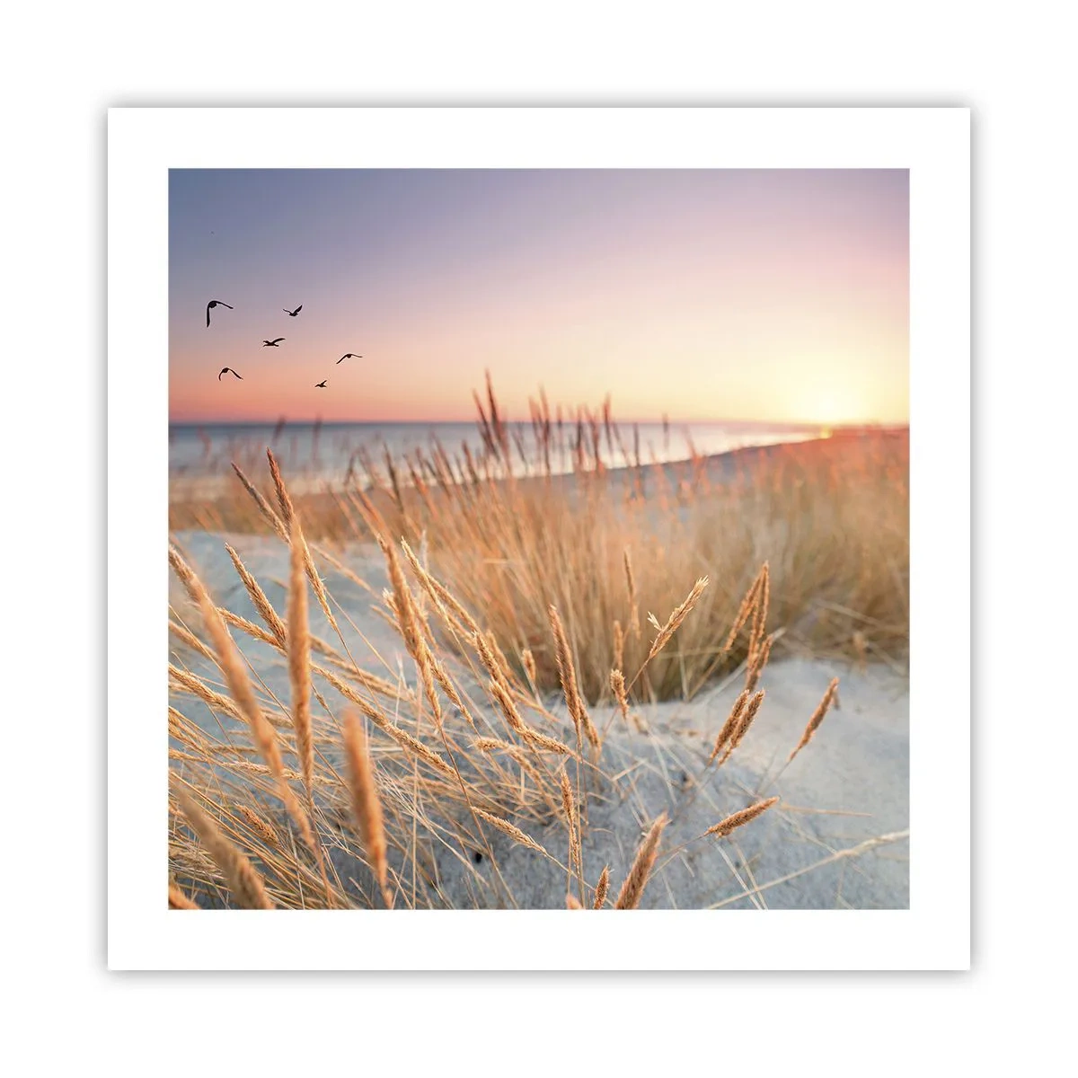 Póster - Dulce nana del Báltico - 50x50 cm