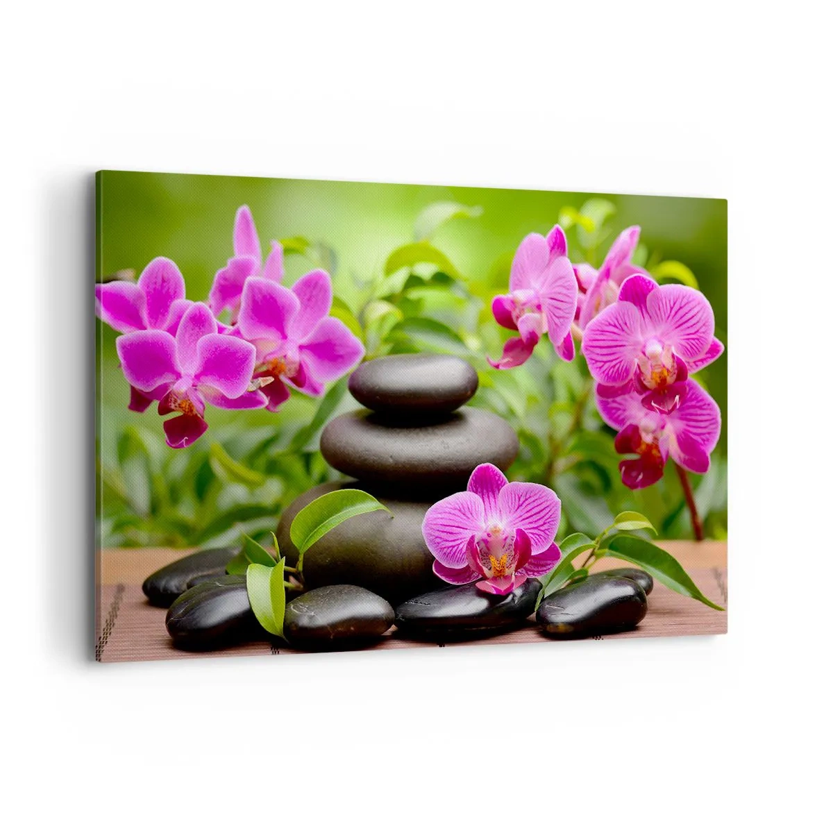 Cuadro sobre lienzo - Impresión de Imagen - Orquídeas rosas con piedras sobre un fondo verde. - 120x80cm - Una pirámide de paz - Decoración de pared moderna para salón y dormitorio ARTTOR