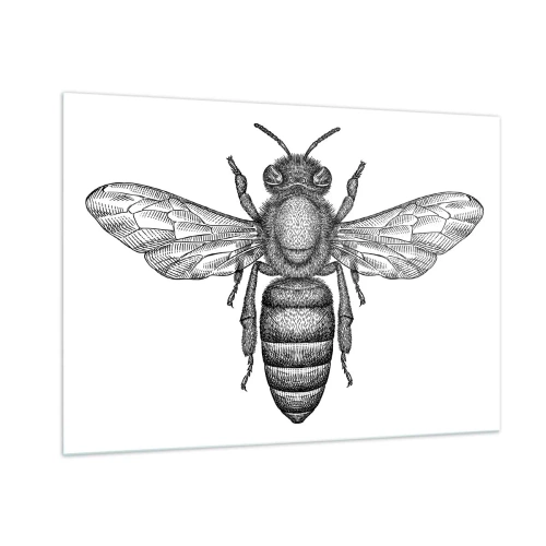 Cuadro sobre vidrio - Impresiones sobre Vidrio - Ilustración detallada de una abeja retro sobre un fondo blanco. - 100x70cm - Retrato de insecto - Decoración de pared moderna para salón y dormitorio ARTTOR