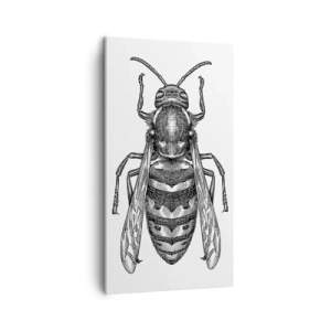 Cuadro sobre lienzo - Impresión de Imagen - Desde un planeta de insectos - 45x80 cm