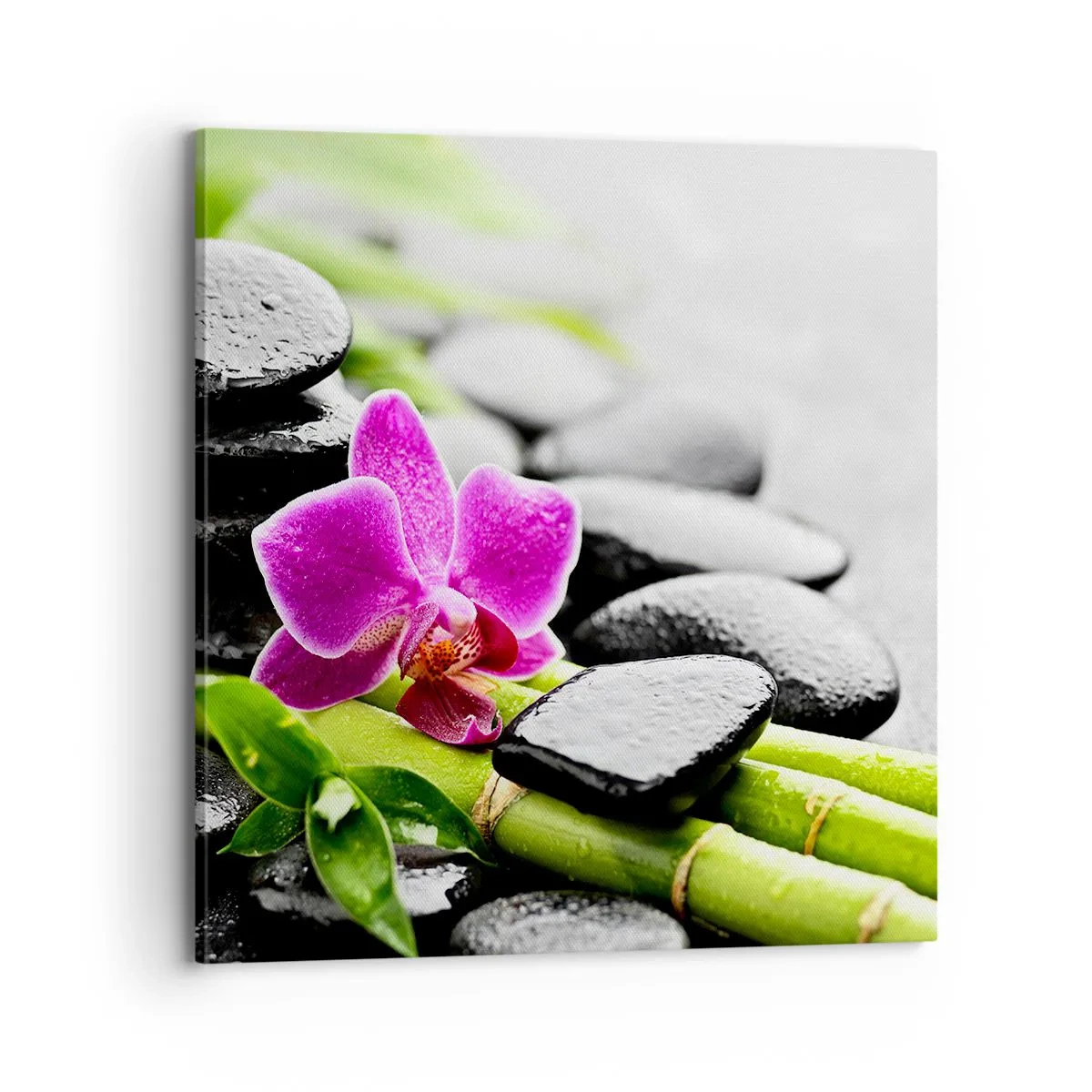 Cuadro sobre lienzo - Impresión de Imagen - En equilibrio pacífico - 70x70 cm