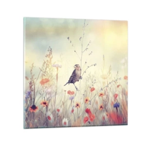 Cuadro sobre vidrio - Impresiones sobre Vidrio - Retrato de pájaro con prado de fondo - 50x50 cm