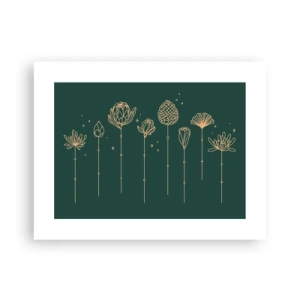 Póster - La familia vegetal - 40x30 cm