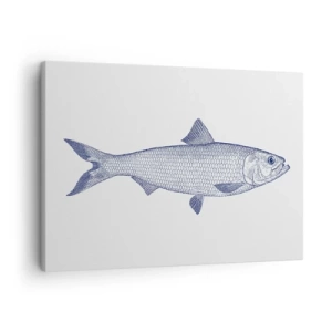 Cuadro sobre lienzo - Impresión de Imagen - Ilustración de un pez en tonos azules sobre un fondo claro. - 70x50cm - Saludos desde los mares del norte - Decoración de pared moderna para salón y dormitorio ARTTOR