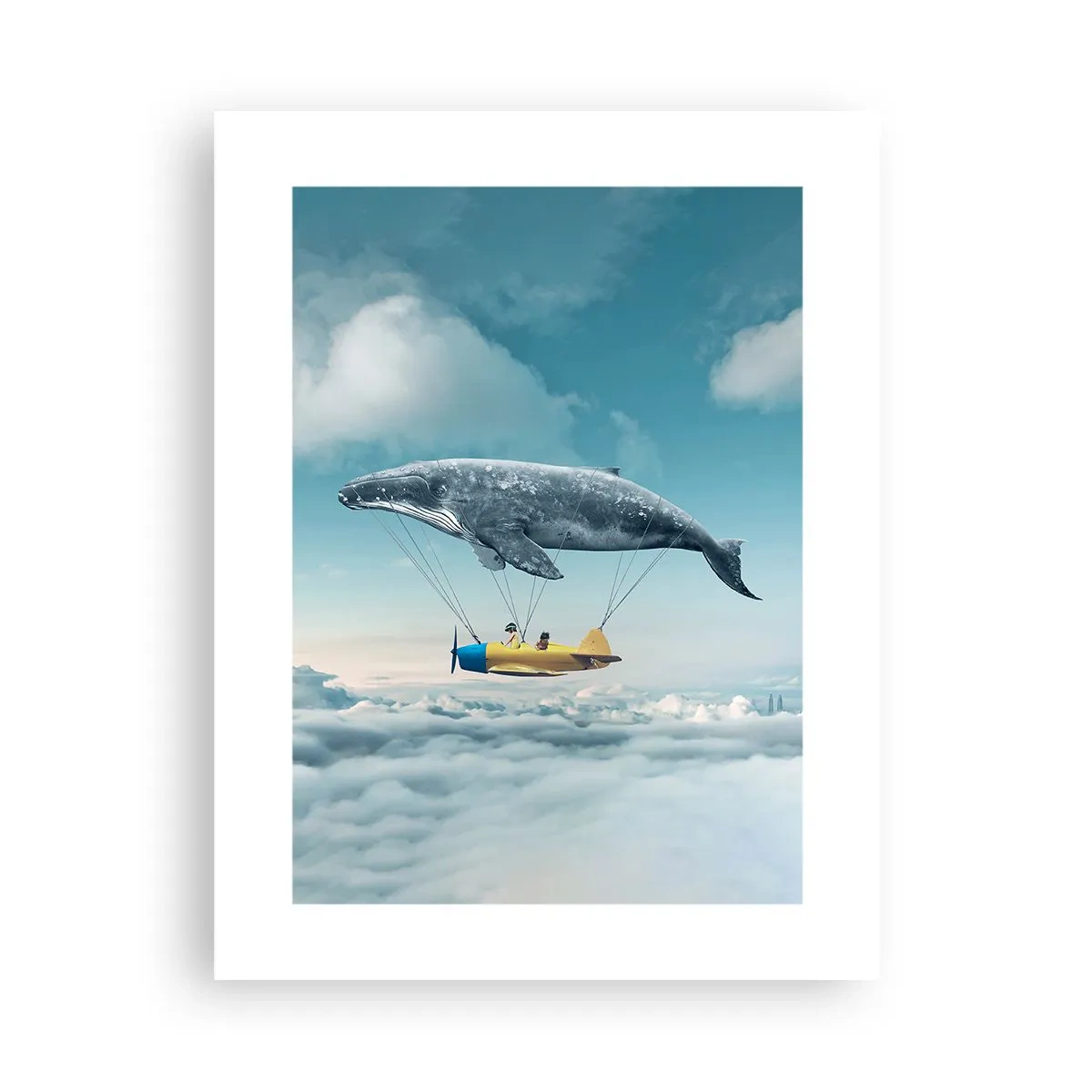 Póster - ¿Por qué no? - 30x40 cm