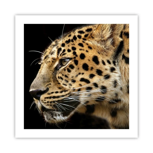 Póster - Tranquilo, concentrado, preparado - 50x50 cm