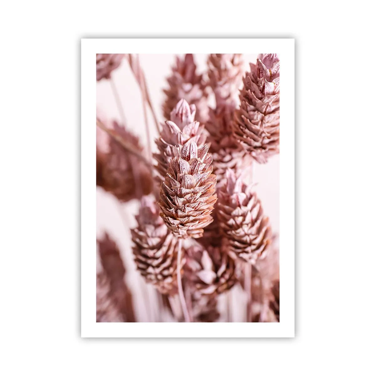 Póster - Primer plano de flores secas en tonos rosa. - 50x70cm - Aparentemente discreto - Decoración de pared moderna para salón y dormitorio ARTTOR