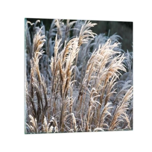 Cuadro sobre vidrio - Impresiones sobre Vidrio - Campos y campos - 30x30 cm
