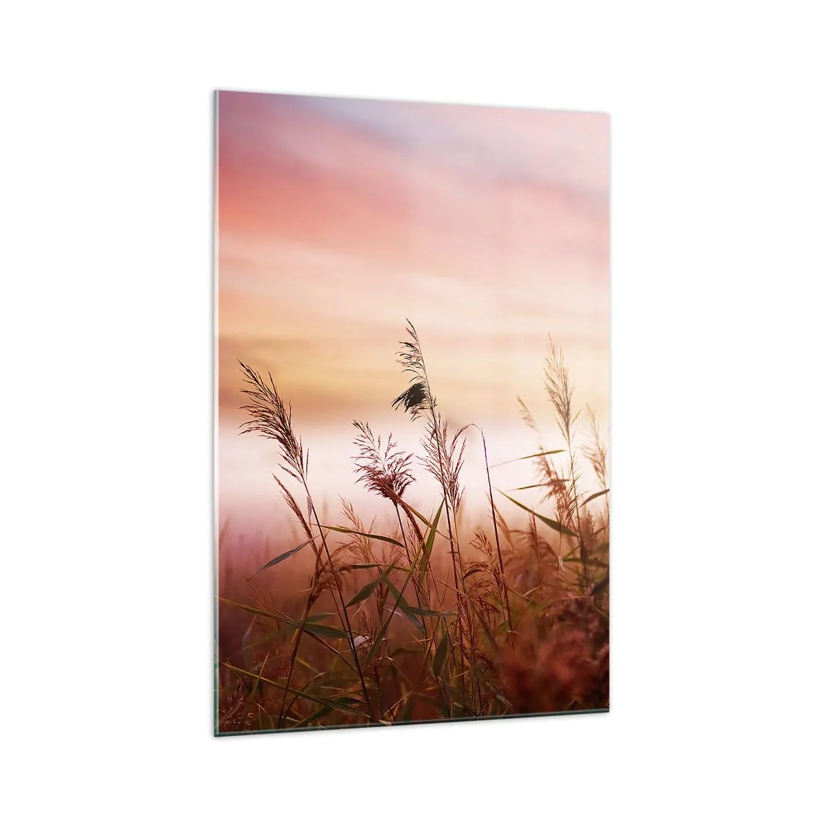 Cuadro sobre vidrio - Impresiones sobre Vidrio - Un campo de hierba con el telón de fondo de una pintoresca puesta de sol. - 70x100cm - El arte del viento - Decoración de pared moderna para salón y dormitorio ARTTOR