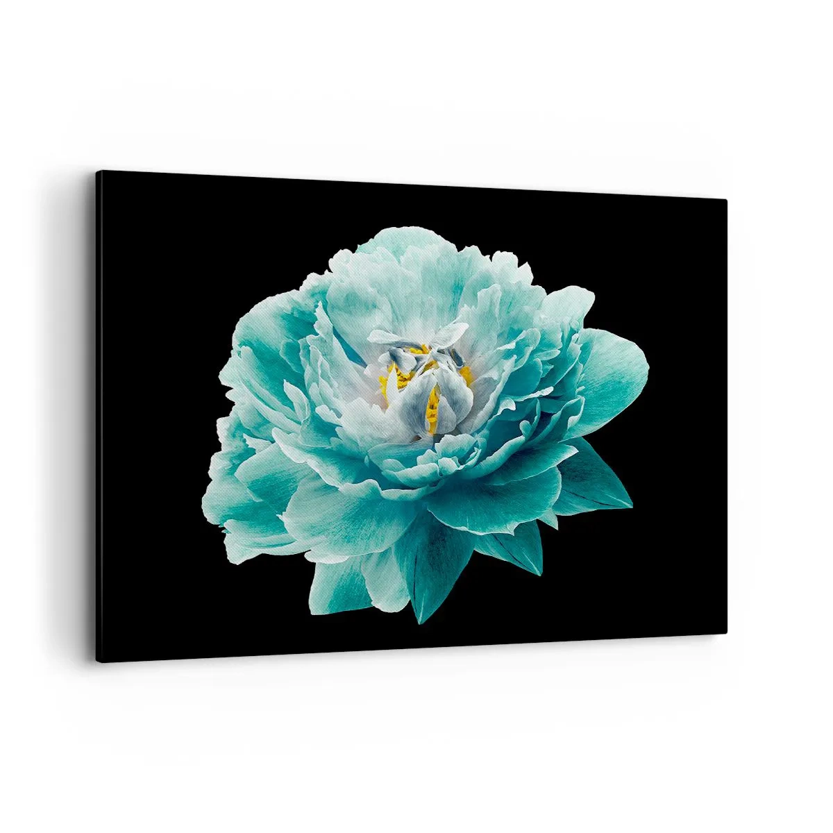 Cuadro sobre lienzo - Impresión de Imagen - Flor de peonía turquesa sobre fondo negro - 100x70cm - Pétalos azules y dorados - Decoración de pared moderna para salón y dormitorio ARTTOR