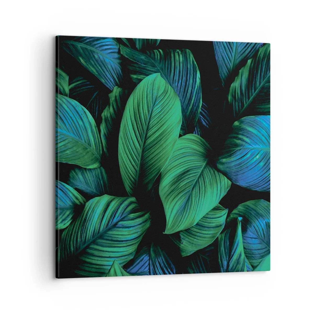 Cuadro sobre lienzo - Impresión de Imagen - En la multitud verde - 50x50 cm