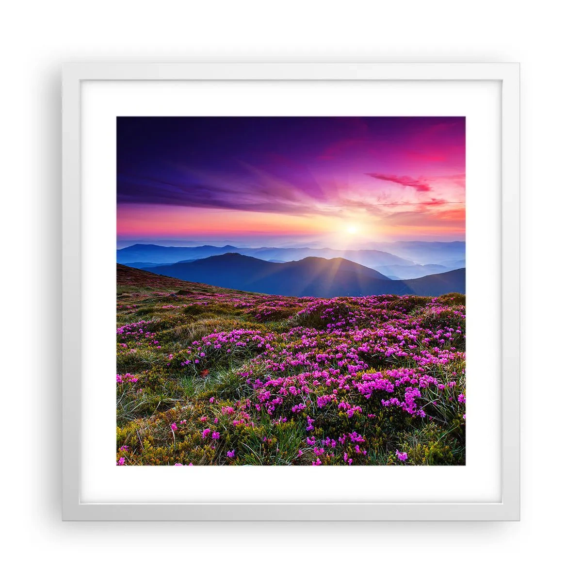 Póster en marco blanco - Dulce aroma a frescura - 40x40 cm