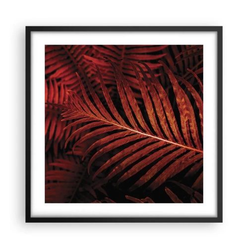 Póster en marco negro - Las brasas de la vida - 50x50 cm
