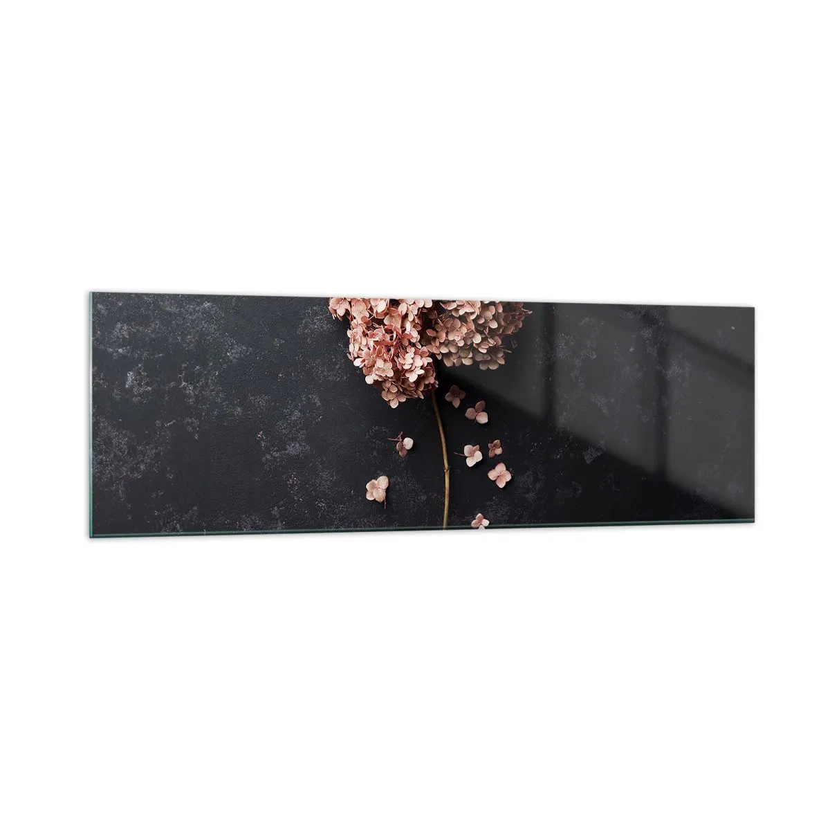 Cuadro sobre vidrio - Impresiones sobre Vidrio - Una delicada flor de hortensia sobre un fondo oscuro. - 160x50cm - Un signo verdaderamente romántico - Decoración de pared moderna para salón y dormitorio ARTTOR
