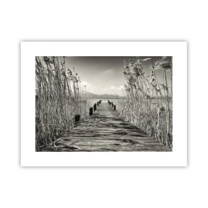 Póster - En la quietud de los juncos - 40x30 cm