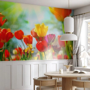 Fotomural Premium Sand - Tulipanes coloridos bajo los rayos del sol primaveral. - 100x70cm - Todos los tonos del sol - Decoración de pared moderna para salón y dormitorio ARTTOR