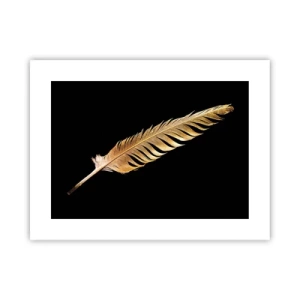Póster - Pluma de alta calidad - 40x30 cm