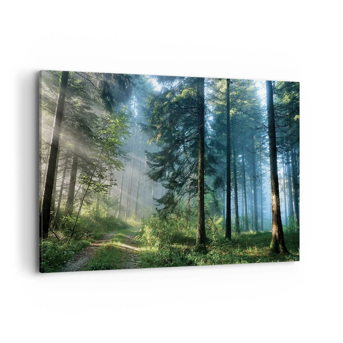 Cuadro sobre lienzo - Impresión de Imagen - Un sendero forestal iluminado por los rayos del sol de la mañana. - 120x80cm - Radiante por la mañana - Decoración de pared moderna para salón y dormitorio ARTTOR