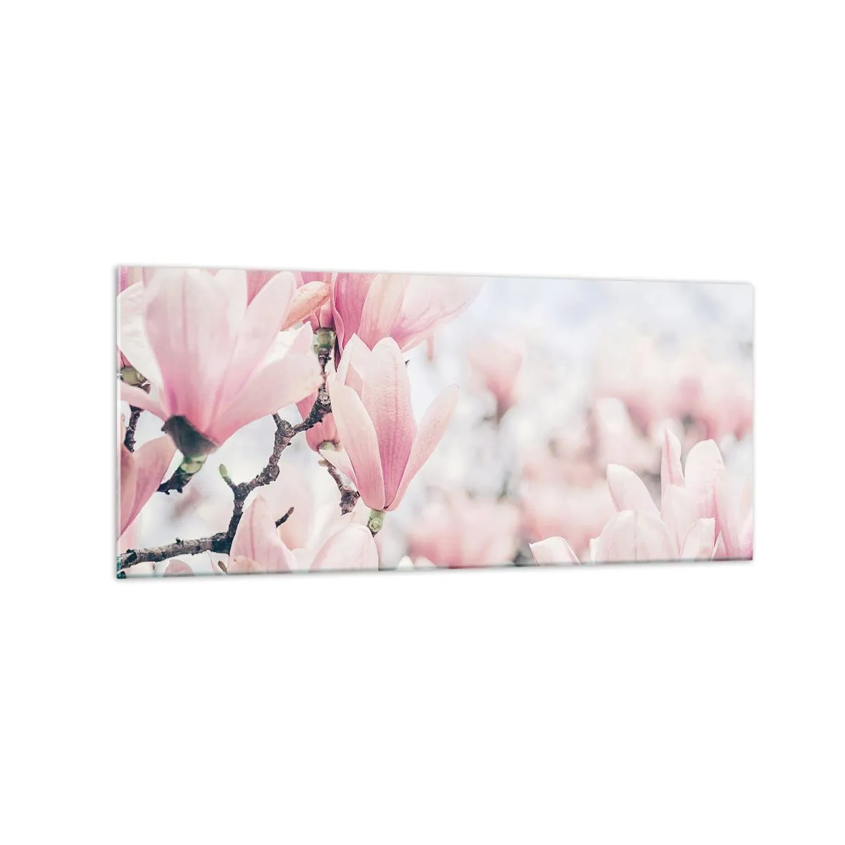 Cuadro sobre vidrio - Impresiones sobre Vidrio - Sutiles flores de magnolia en delicados tonos rosados. - 120x50cm - La perfección de la sutileza - Decoración de pared moderna para salón y dormitorio ARTTOR