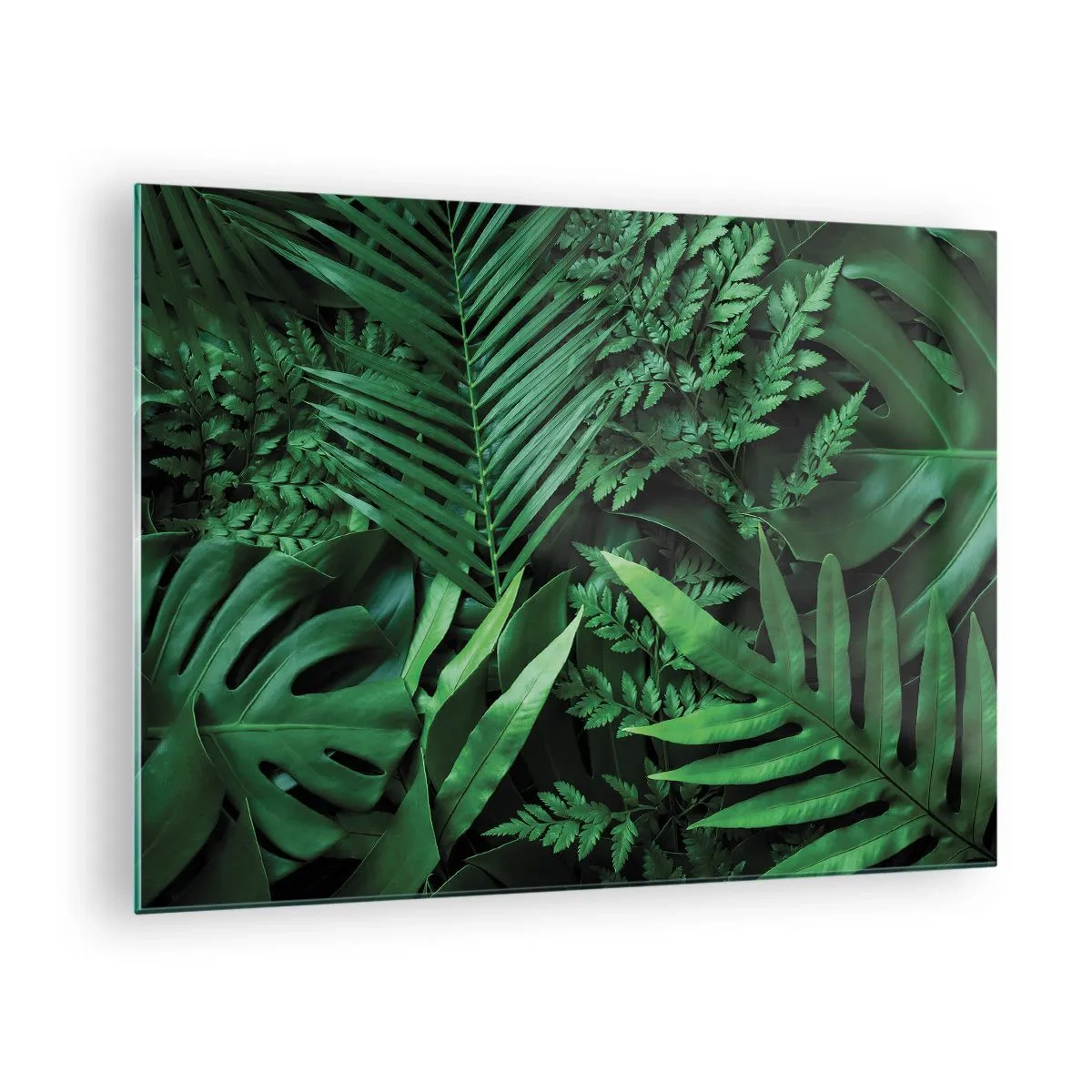 Cuadro sobre vidrio - Impresiones sobre Vidrio - Densas hojas verdes de plantas tropicales en la composición. - 70x50cm - Abrazo verde - Decoración de pared moderna para salón y dormitorio ARTTOR