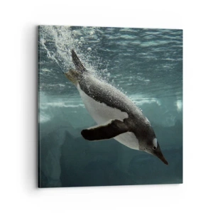 Cuadro sobre lienzo - Impresión de Imagen - Bienvenido a mi mundo - 70x70 cm