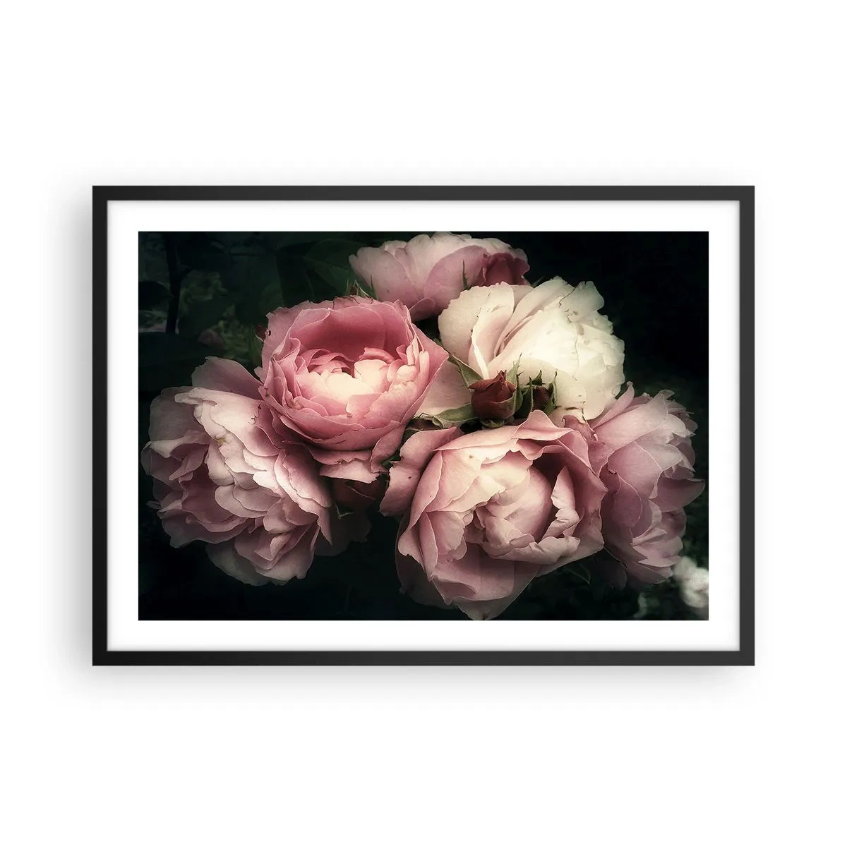 Póster en marco negro - Un ramo de rosas en delicados tonos rosa y blanco. - 70x50cm - El encanto de la belle époque - Decoración de pared moderna para salón y dormitorio ARTTOR