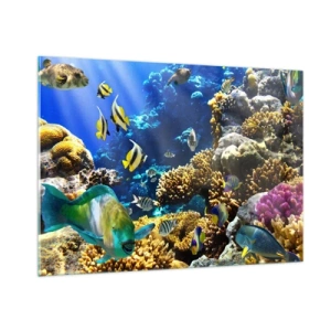 Cuadro sobre vidrio - Impresiones sobre Vidrio - Arrecife de coral con peces de colores y luz submarina. - 100x70cm - Vacaciones submarinas - Decoración de pared moderna para salón y dormitorio ARTTOR
