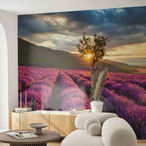 Fotomural Premium Sand - Campo de lavanda al atardecer - 100x70cm - Aroma en lila - Decoración de pared moderna para salón y dormitorio ARTTOR