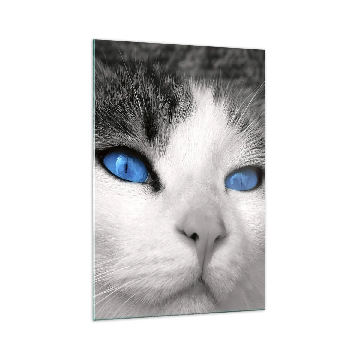 Cuadro sobre vidrio - Impresiones sobre Vidrio - Retrato de un gato con ojos azules en estilo blanco y negro. - 70x100cm - Inusual de ojos azules - Decoración de pared moderna para salón y dormitorio ARTTOR