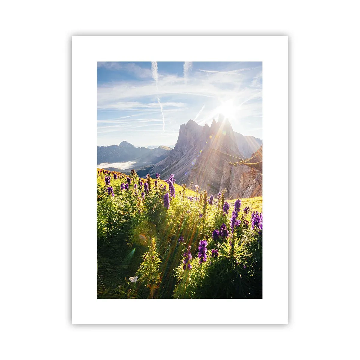 Póster - La vida secreta de las hierbas - 30x40 cm