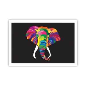 Póster - El elefante al que le gustaba bañarse en el arco iris - 91x61 cm