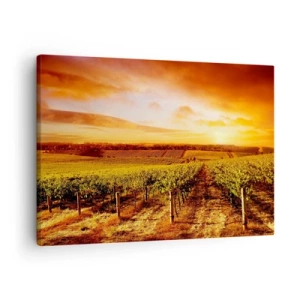 Cuadro sobre lienzo - Impresión de Imagen - Viñedo al atardecer con tonos cálidos del cielo. - 70x50cm - Delicadamente afrutado con un toque de sol - Decoración de pared moderna para salón y dormitorio ARTTOR