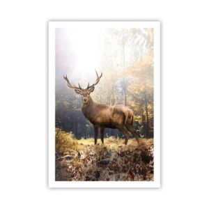 Póster - Con toda la majestuosidad - 61x91 cm