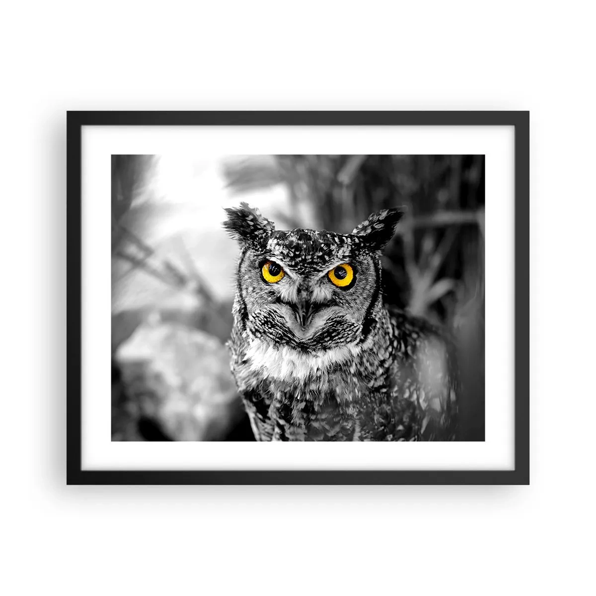 Póster en marco negro - Nada se puede ocultar - 50x40 cm