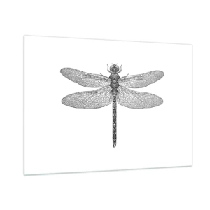 Cuadro sobre vidrio - Impresiones sobre Vidrio - Ilustración detallada de una libélula en estilo grabado sobre un fondo blanco. - 100x70cm - Precisión de la naturaleza - Decoración de pared moderna para salón y dormitorio ARTTOR