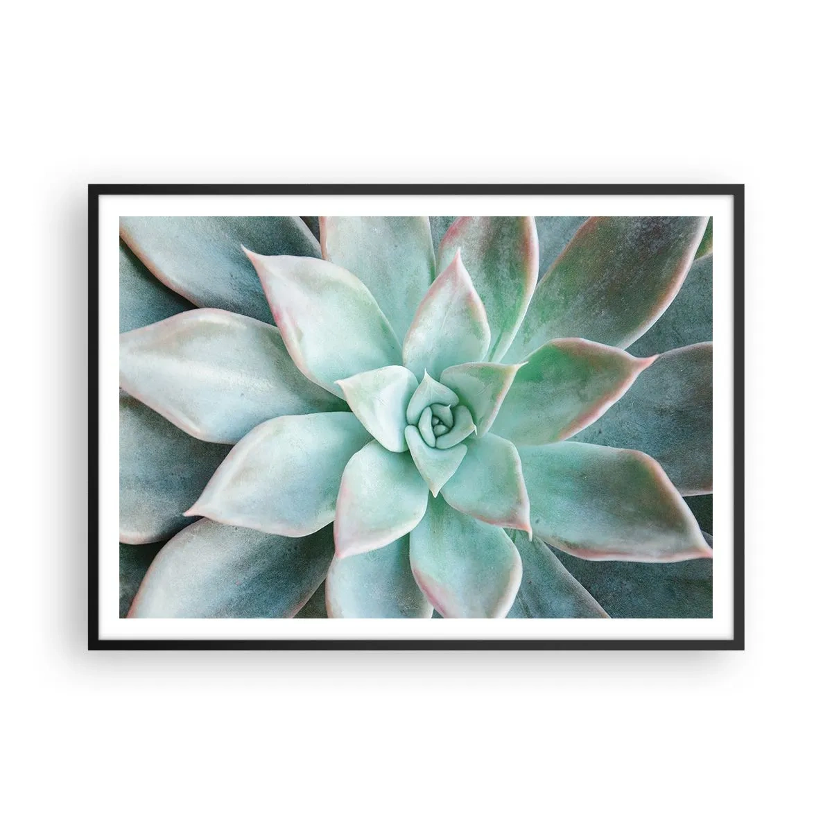 Póster en marco negro - Primer plano de una suculenta verde - 100x70cm - El corazón del desierto - Decoración de pared moderna para salón y dormitorio ARTTOR