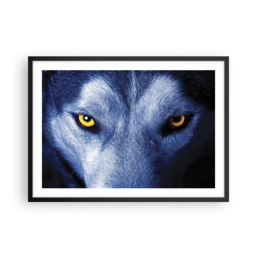 Póster en marco negro - Primer plano de la intensa mirada de un lobo sobre un fondo oscuro. - 70x50cm - La mirada hipnótica - Decoración de pared moderna para salón y dormitorio ARTTOR