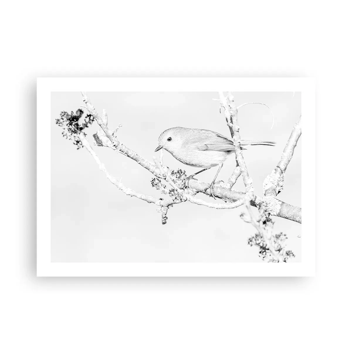 Póster - Mañana de invierno - 70x50 cm