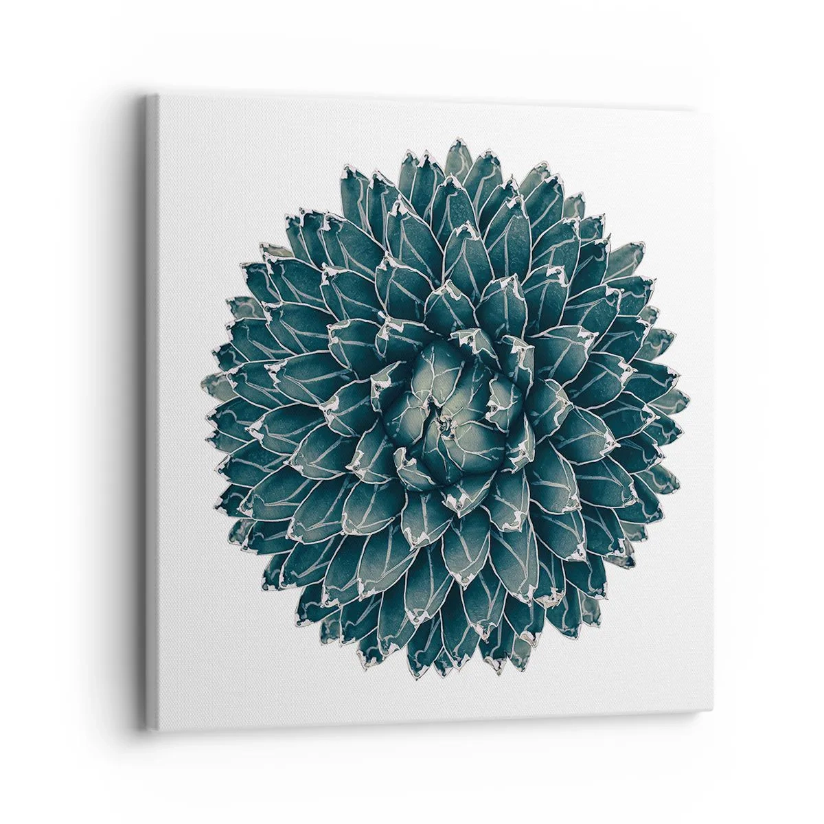 Cuadro sobre lienzo - Impresión de Imagen - Estrella del desierto - 30x30 cm
