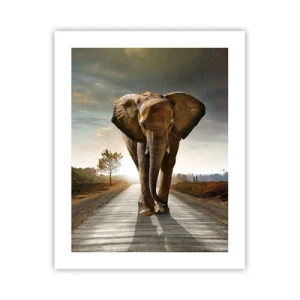 Póster - Y para nada en un almacén de porcelana - 40x50 cm