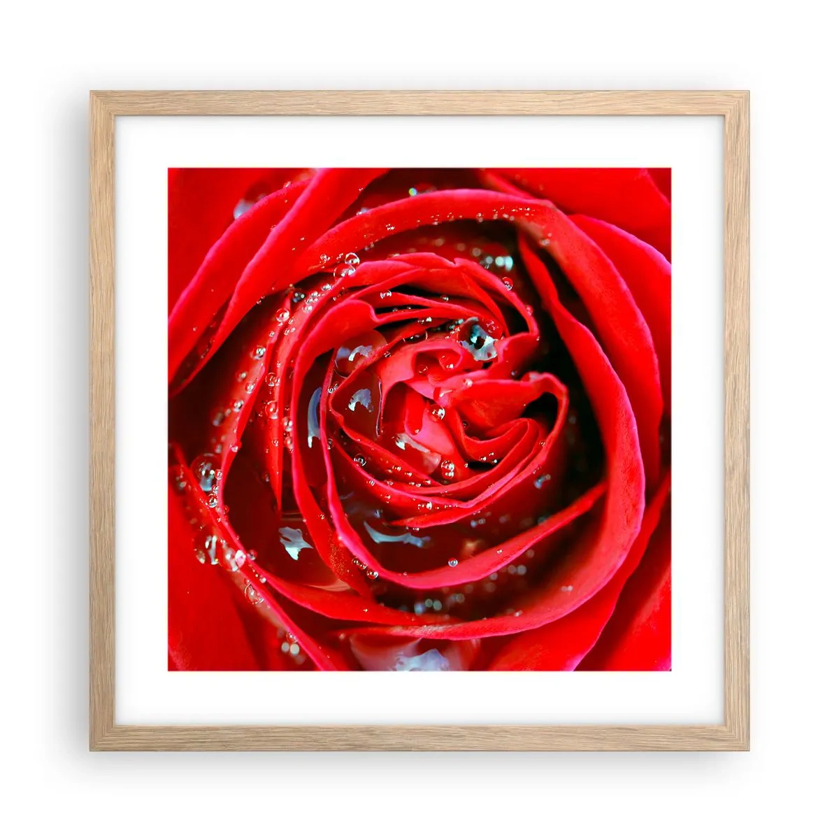 Póster en marco roble claro - En gotas de rocío - 40x40 cm