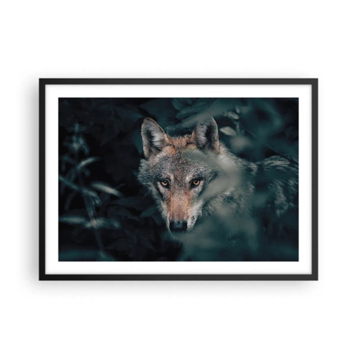 Póster en marco negro - Un lobo en su entorno natural, mirando desde las profundidades del bosque. - 70x50cm - Cazador - Decoración de pared moderna para salón y dormitorio ARTTOR