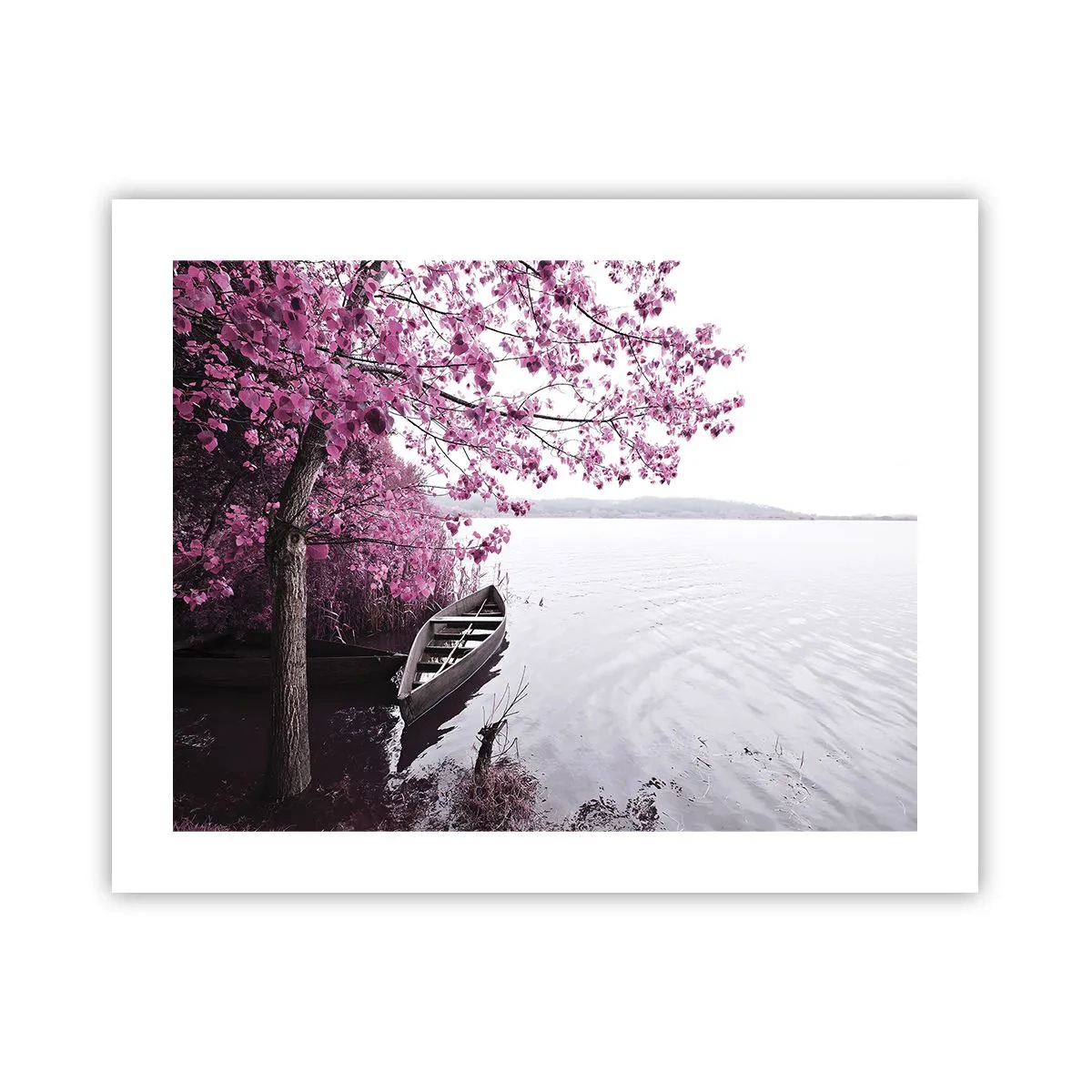 Póster - En el silencio rosa - 50x40 cm