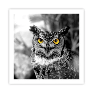 Póster - Nada se puede ocultar - 60x60 cm