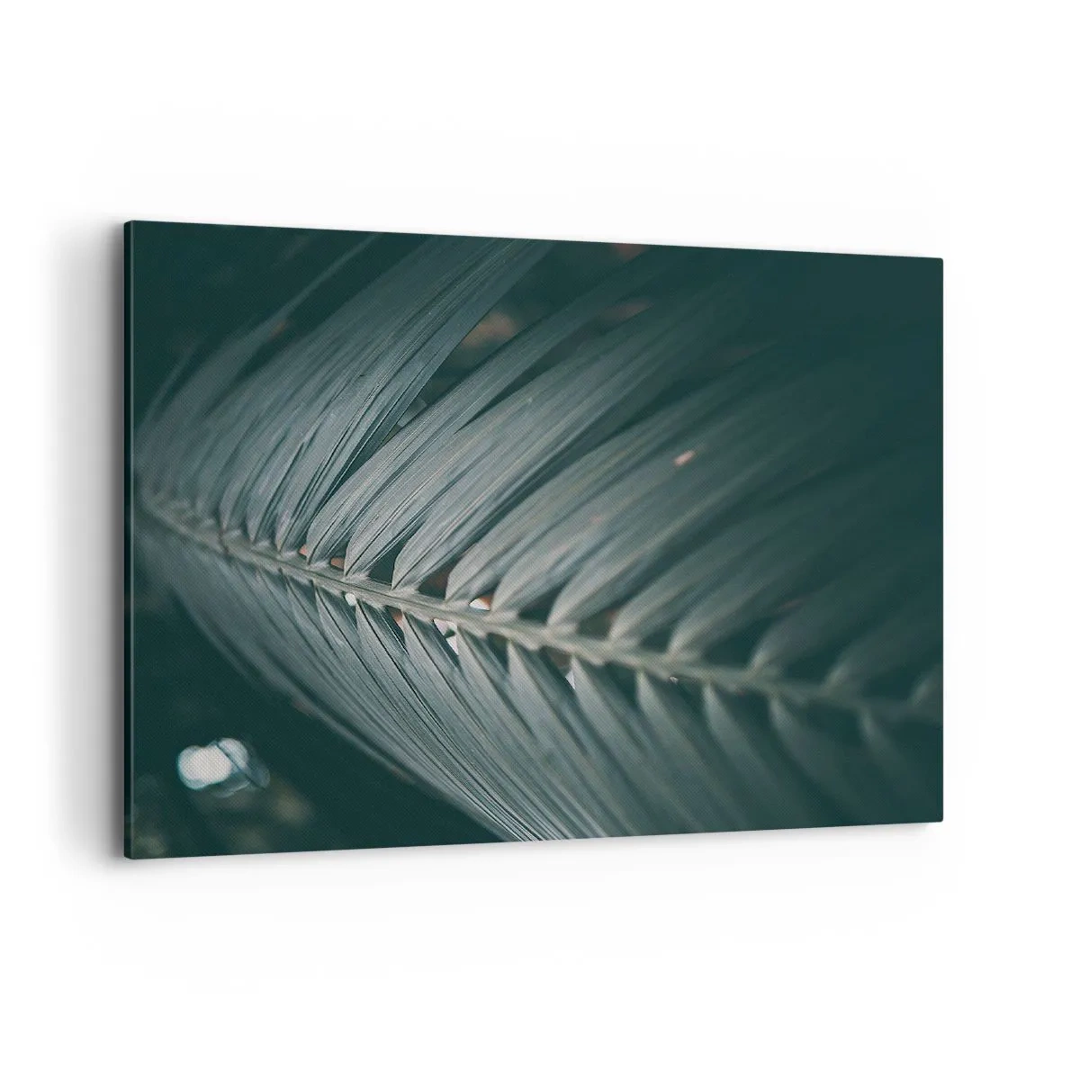 Cuadro sobre lienzo - Impresión de Imagen - Primer plano de un detalle de hoja de palma en tonos oscuros - 100x70cm - La precisión de la naturaleza - Decoración de pared moderna para salón y dormitorio ARTTOR