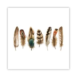 Póster - Estudio de plumas - 40x40 cm