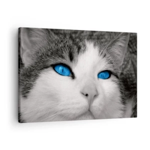 Cuadro sobre lienzo - Impresión de Imagen - Retrato de un gato con ojos azules en estilo blanco y negro. - 70x50cm - Inusual de ojos azules - Decoración de pared moderna para salón y dormitorio ARTTOR