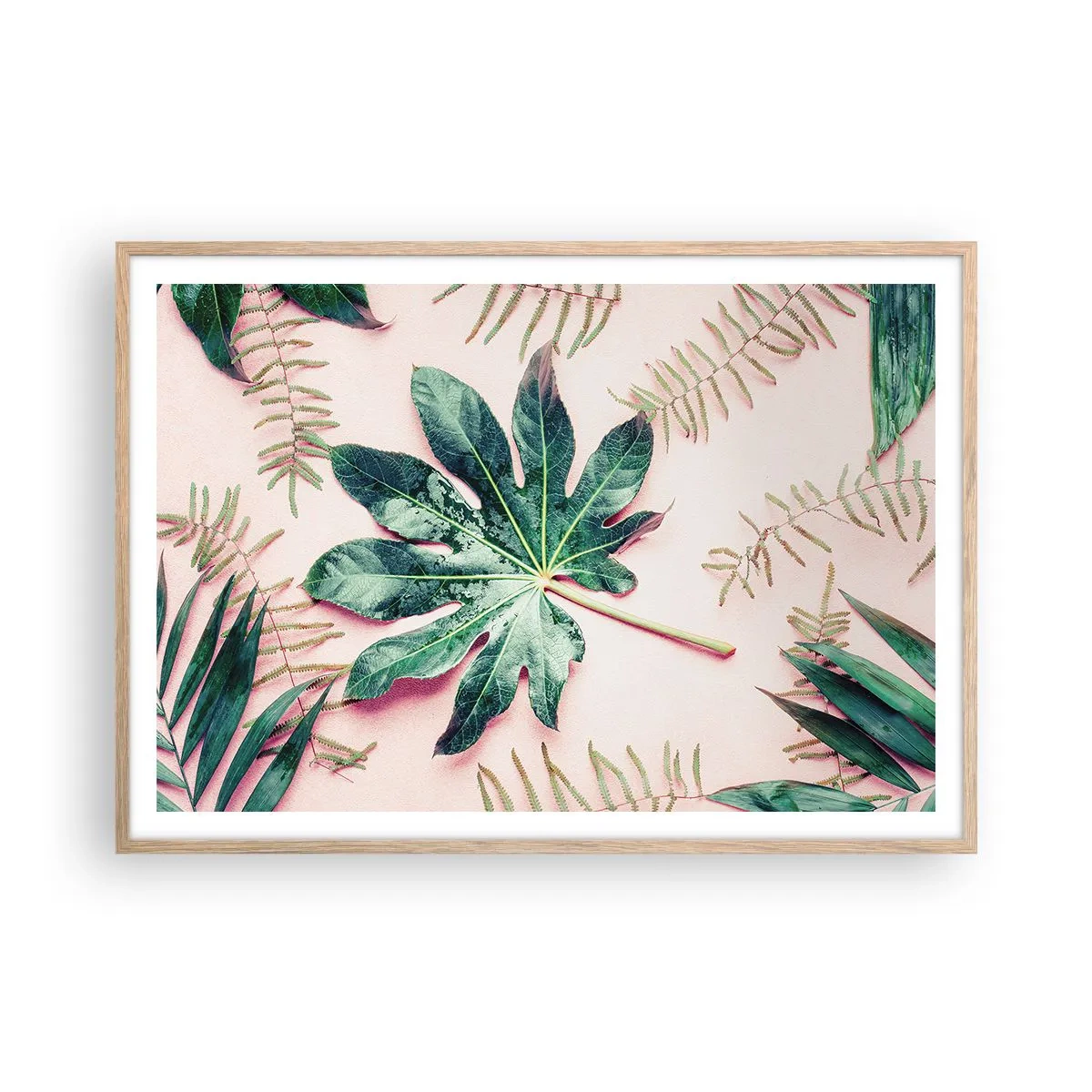 Póster en marco roble claro - Estudio de vegetación sobre fondo rosa - 100x70 cm